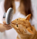 Brosse Pour Chat