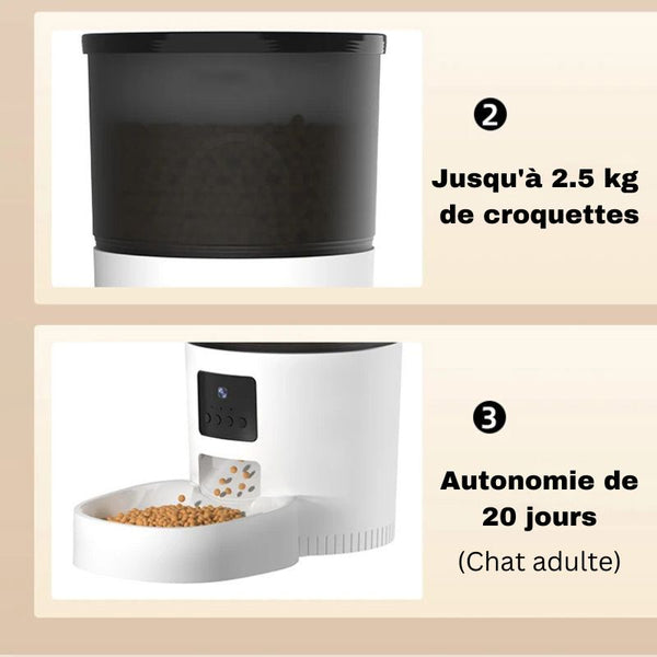 Distributeur de Croquettes pour Chat | KittyFeeder