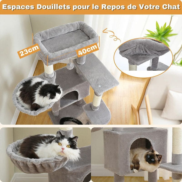 Arbre à Chat Compact - Confort et Style | ComfyTree