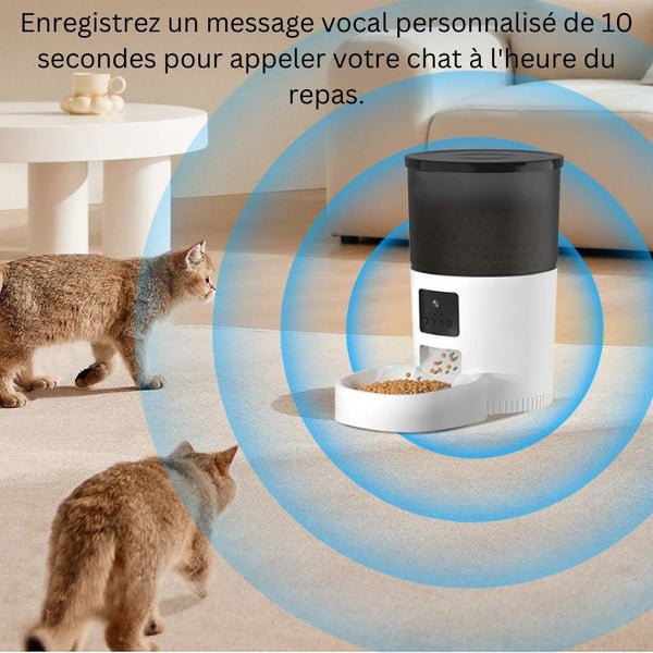 Distributeur de Croquettes pour Chat | KittyFeeder