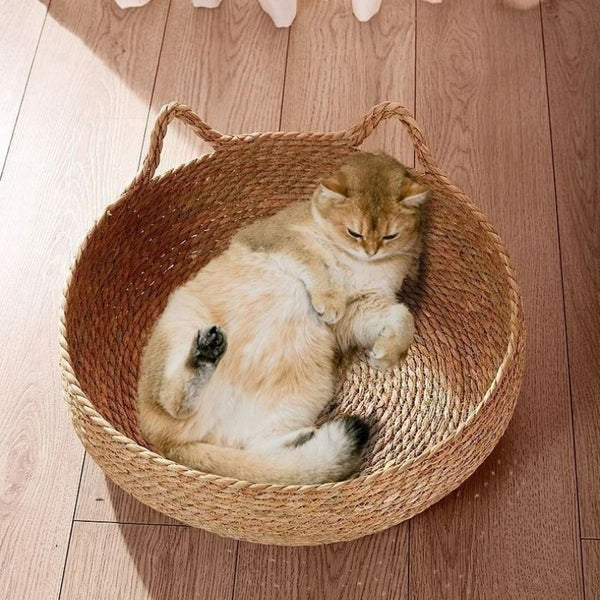 Panier en Osier pour Chat | ZenBasket