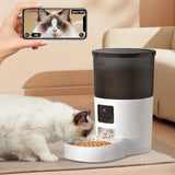 Distributeur de Croquettes pour Chat | KittyFeeder