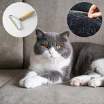 Chat couché sur canapé avec la brosse anti poils chat à gauche de l'image