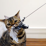 Chat mordant des plumes attachées au bout de la canne du Jeu De Chasse Pour Chat