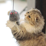 Chaton jouant avec la souris du Jouet souris pour chat