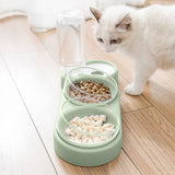 Un chat devant la gamelle pour chat prêt à manger | Kittybowls
