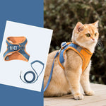 Chat portant un harnais chat orange bleu | Kittyvest
