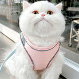 Chat portant un harnais chat rose turquoise | Kittyvest