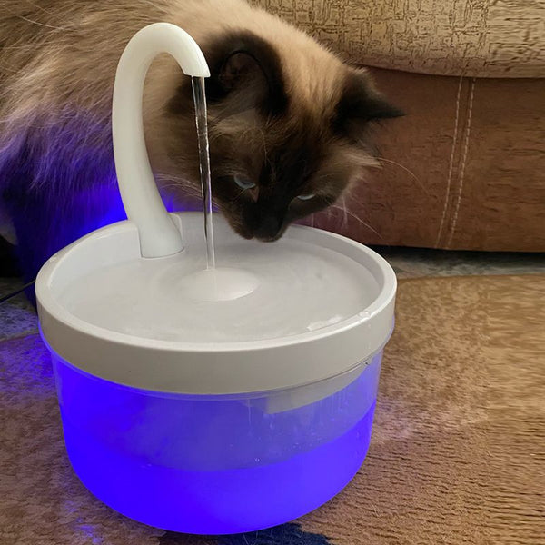 chat buvant dans une fontaine à eau éclairée pour chat | Kittyfalls