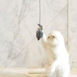chat blanc jouant avec la souris du Jouet souris pour chat