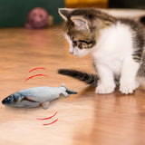 Chaton observant le Jouet poisson pour chat | Merlux