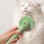 Un chat en train de se faire brosser par la Brosse Pour Chat Poil Long