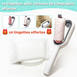 Brosse pour poils de chat avec lingettes