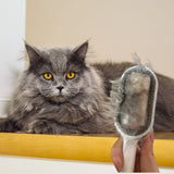 Poils longs d'un chat restés collés sur la brosse pour poils de chat